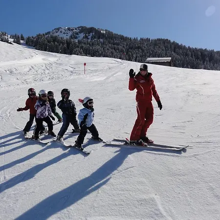 Apartament Walserland *