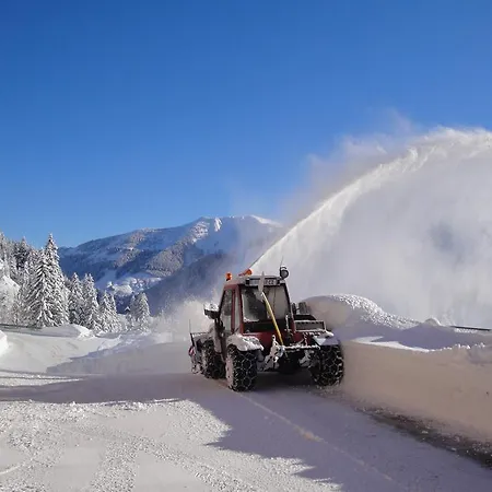 Apartament Walserland