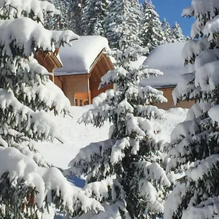 Apartament Walserland *